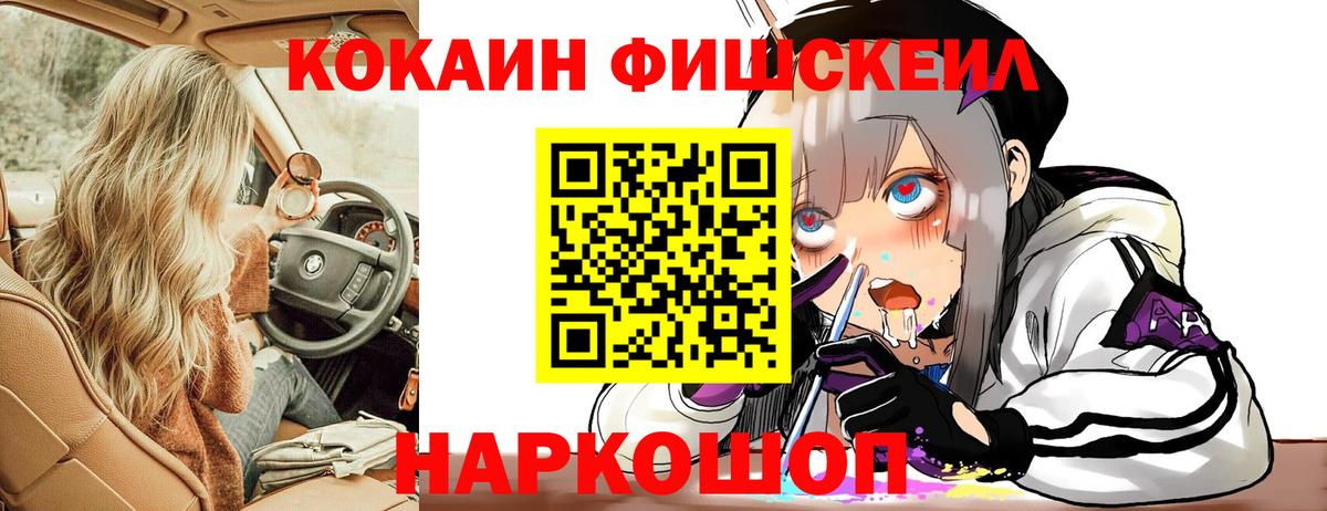 COCAIN Fish Scale  Вход с VPN  Cocaine Columbia  Муравленко 