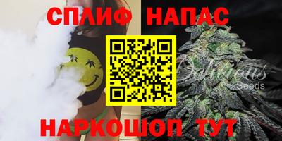 СК Камышлов