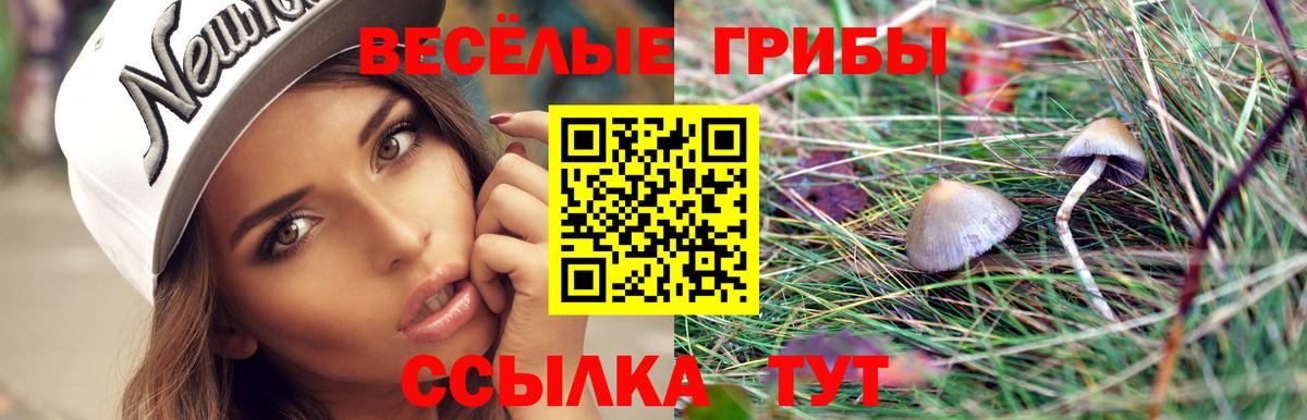 Муравленко  Галлюциногенные грибы мухоморы  Вход с VPN 